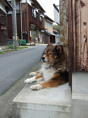 カメラがめんどくさそうな表情