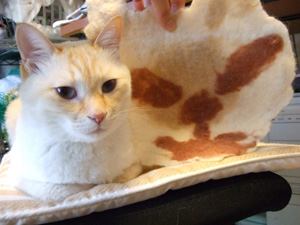 フェルトとモデルの猫 フェルトとモデルの猫