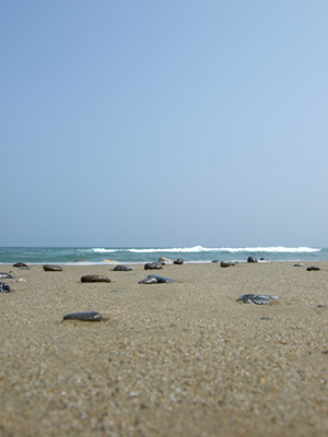 海と空と砂浜の石ころ