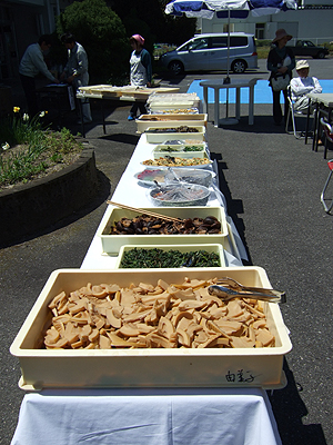 山菜料理 山菜料理