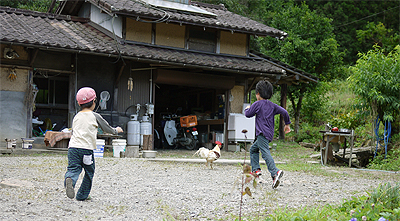 逃げるニワトリ