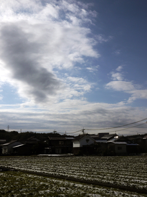 今日の田んぼと空