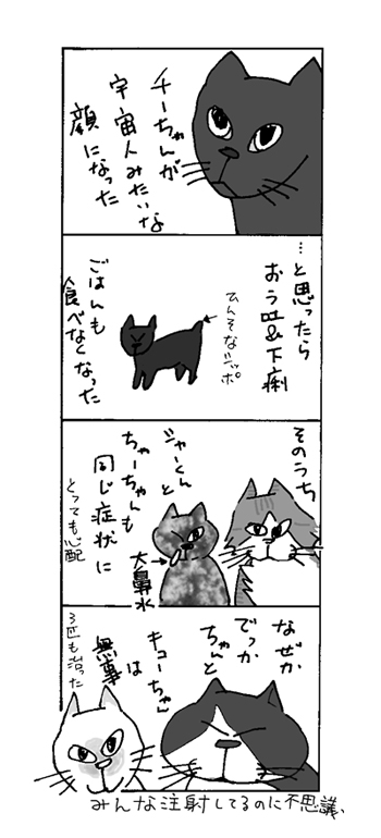 猫風邪