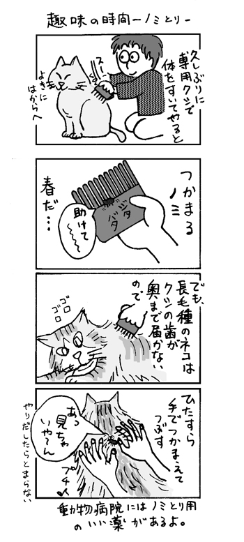 趣味のノミとり