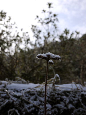 雪もよう２