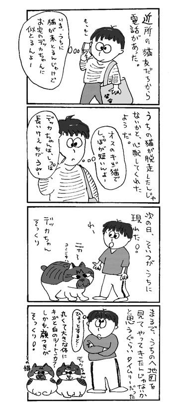 デッカちゃんのそっくり猫さん