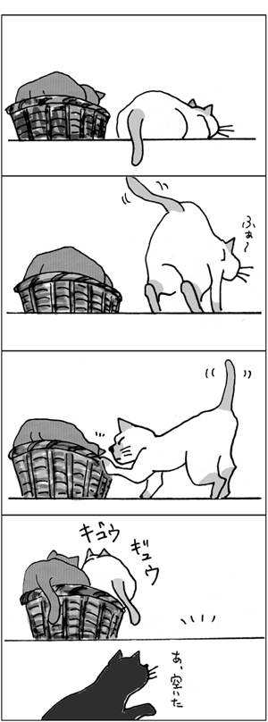 猫カゴ