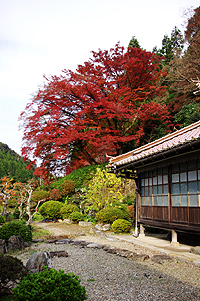 記念館となり秦博士の実家の山根家