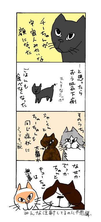 猫が風邪をひいた