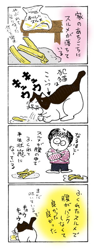 スルメ事件