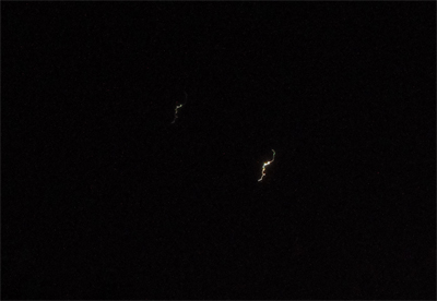 木星と金星