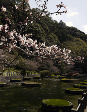 七尾の水源池