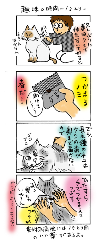 ノミとり