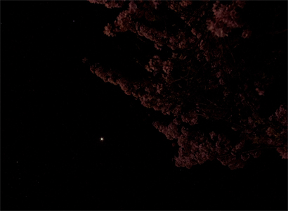 金星と夜桜 金星と夜桜