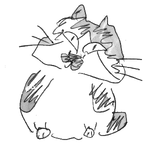 猫宿.com 猫宿.com