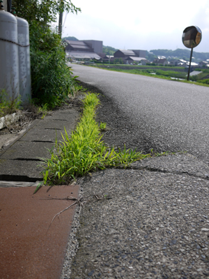 土手道