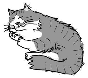 シャーくん シャーくん