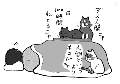 こたつと猫と