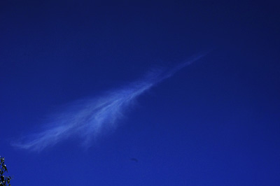 鳥の羽根雲