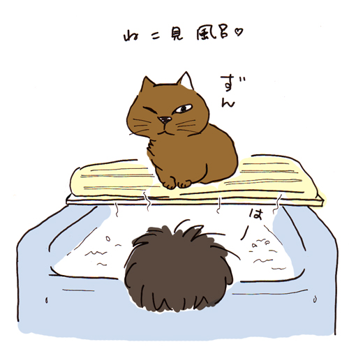 猫見風呂