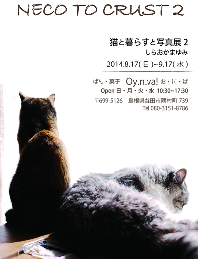 画像の説明 画像の説明