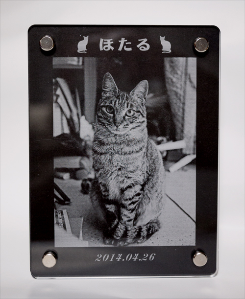 画像の説明 画像の説明
