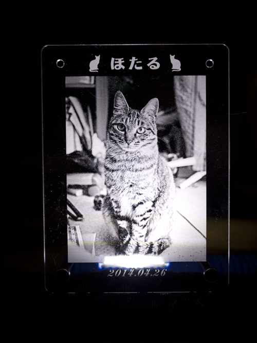画像の説明 画像の説明