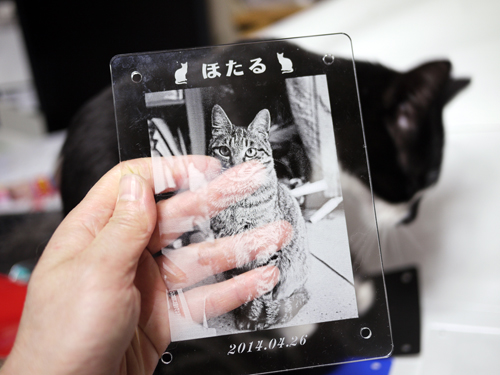 画像の説明 画像の説明
