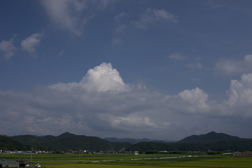 画像の説明 画像の説明