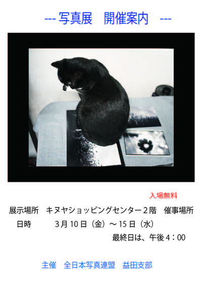 画像の説明 画像の説明