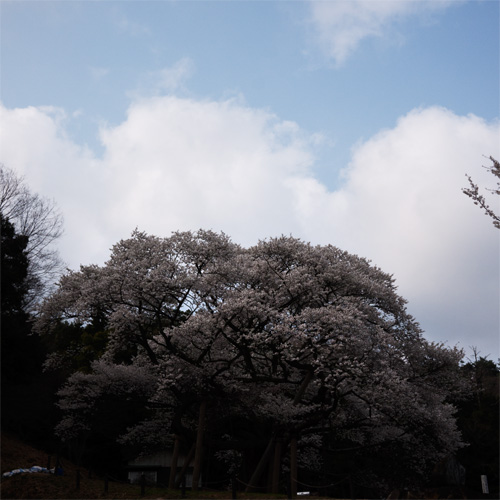画像の説明 画像の説明