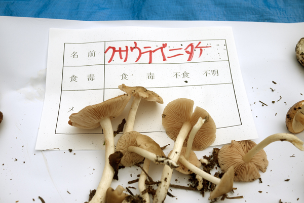 画像の説明 画像の説明
