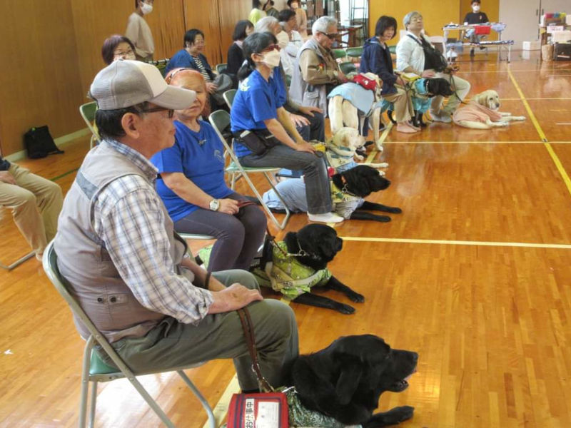 盲導犬ふれあい教室の写真