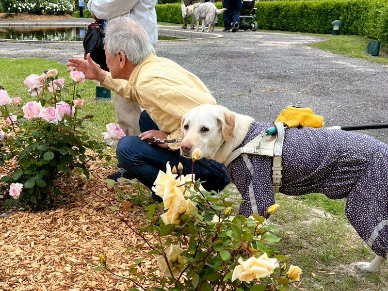 花回廊、花壇でユーザーさんとパートナーがバラの花の香りを楽しんでいる写真。