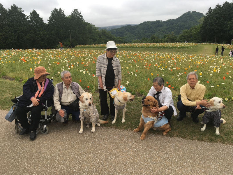 花回廊、ポピーの花畑の前でのユーザーさんとパートナーの写真。